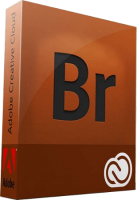 Adobe Bridge 2020 v10.0.2.131 Pre-Activated [FileCR]