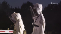 Charlie Bee Company S02E03 XviD-AFG EZTV