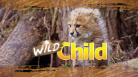 Wild Child S05E06 720p WEB h264-DiRT EZTV Wild Child S05E06 720p WEB h264-DiRT EZTV