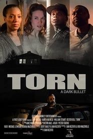 Torn Dark Bullets 2020 WEB-720p x265-BBTOR