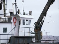 Deadliest Catch S19E02 480p x264-mSD EZTV