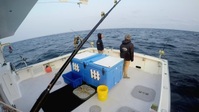 Wicked Tuna S10E16 720p HEVC x265-MeGusta EZTV