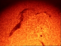 DC Ultimate Space Collection Savage Sun x264 AC3 mkv[eztv]