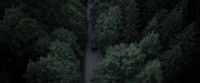 Werewolf (2018) [BluRay] [1080p] [YTS] [YIFY]