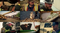 Gold Rush S09E12 WEBRip x264-TBS Gold Rush S09E12 WEBRip x264-TBS