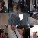 Hudson and Rex S01E07 HDTV x264-aAF