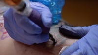 Ink Master Angels S02E08 720p WEB x264-TBS[eztv]