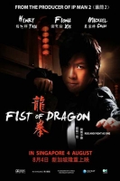 Fist of Dragon 2011 CHINESE WEBRip x264-VXT[TGx]