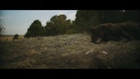 Outer Range S01E05 1080p HEVC x265-MeGusta EZTV