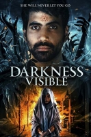 Darkness Visible 2019 720p WEBRip 800MB x264-GalaxyRG