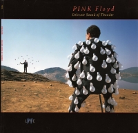 Pink Floyd - Delicate Sound Of Thunder 1988 (2017 Remastered).[iDN_CreW]