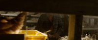 Oddball 2015 1080p BluRay x264-PHOBOS