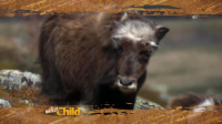 Wild Child S04E06 XviD-AFG EZTV Wild Child S04E06 XviD-AFG EZTV