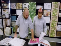 The Block NZ S08E33 480p x264-mSD [eztv]