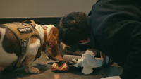 Seoul Busters S01E10 720p HEVC x265-MeGusta EZTV