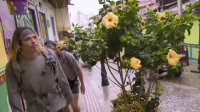 The Amazing Race S36E03 720p HEVC x265-MeGusta EZTV