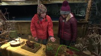 Winterwatch S11E02 XviD-AFG EZTV Winterwatch S11E02 XviD-AFG EZTV