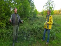 Springwatch S17E03 480p x264-mSD EZTV
