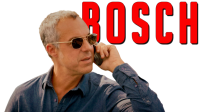 Bosch S04 ITA ENG 720p WEBMux H264-Morpheus