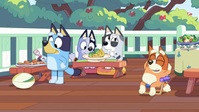 Bluey S01E07 XviD-AFG EZTV