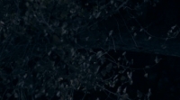Alien Domicile 2: Lot 24 (2018) [BluRay] [720p] [YTS] [YIFY]