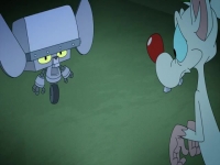 Animaniacs 2020 S01E04 480p x264-mSD EZTV