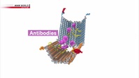 Science View S08E13 Nanoscale Manufacturing with DNA Origami XviD-AFG EZTV