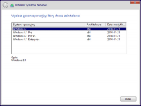 Windows 8.1 x64 [PL] [2020.08-NiKKA]