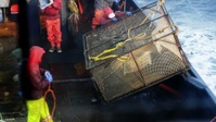 Deadliest Catch S19E06 1080p HEVC x265-MeGusta EZTV Deadliest Catch S19E06 1080p HEVC x265-MeGusta EZTV