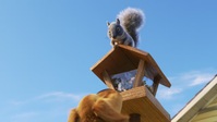 Dug Days S01E01 720p HEVC x265-MeGusta EZTV Dug Days S01E01 720p HEVC x265-MeGusta EZTV