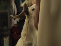 Servant S04E06 480p x264-mSD EZTV