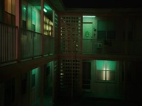 David Makes Man S02E01 480p x264-mSD EZTV David Makes Man S02E01 480p x264-mSD EZTV