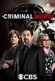 Criminal Minds S14E14 720p HDTV x264 [400MB] [MP4]