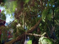 Moving Houses S01E03 480p x264-mSD EZTV