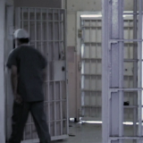 Animal 2005 720p BluRay H264 AAC