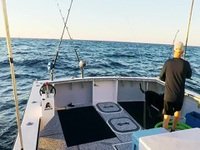 Wicked Tuna S10E14 480p x264-mSD EZTV