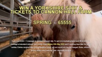 Springtime on the Farm S05E02 1080p HEVC x265-MeGusta EZTV