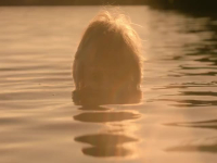 Its Florida Man S01E02 480p x264-mSD EZTV