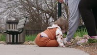 Body Parts S01E03 XviD-AFG EZTV Body Parts S01E03 XviD-AFG EZTV