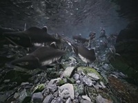 Alaskas Deadliest S01E02 480p x264-mSD EZTV