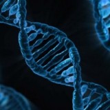 Udemy - Ultimate History of Medicine Course!