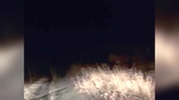 Paranormal Caught on Camera S05E15 XviD-AFG EZTV