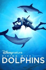 Diving With Dolphins 2020 WEB H 264-BabyTorrent