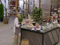Table Wars S01E04 Nature Nuptials 480p x264-mSD EZTV Table Wars S01E04 Nature Nuptials 480p x264-mSD EZTV