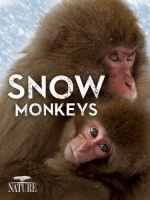 Nature S31E10 Snow Monkeys 720p 10bit BluRay x265-budgetbits