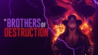 WWE Brothers Of Destruction 2020 720p WEB h264-HONOR [TJET]