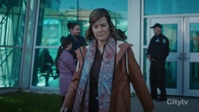 Hudson and Rex S05E12 XviD-AFG EZTV