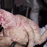 Memory The Origins of Alien 2019 HDTV x264-CROOKS[TGx]