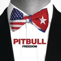 Pitbull – Freedom (2016)[iTunes version][320 kbps][SINGLE][GLODLS]