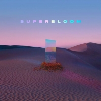 MisterWives - SUPERBLOOM (2020) Mp3 320kbps [PMEDIA] ️